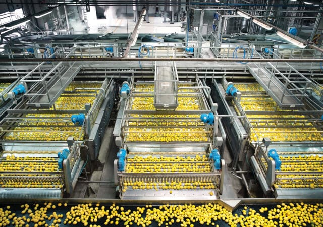 What extracting excellence means for you